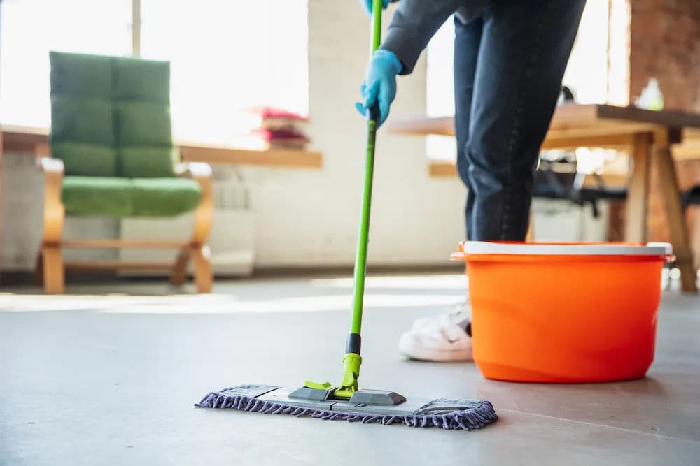 Basic House Cleaning